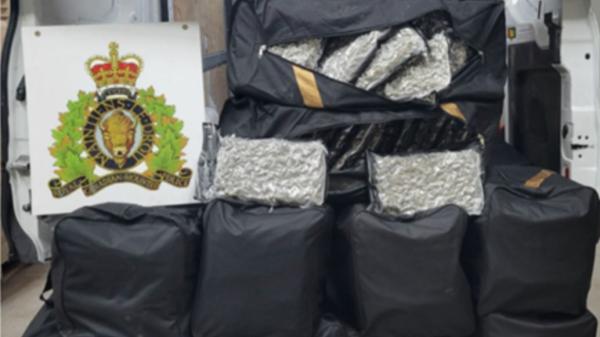 photo of More than 200 kilograms of cannabis seized in targeted investigation in Ontario border town image