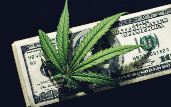 photo of Americans will spend $60 billion on illicit marijuana this year, report says image