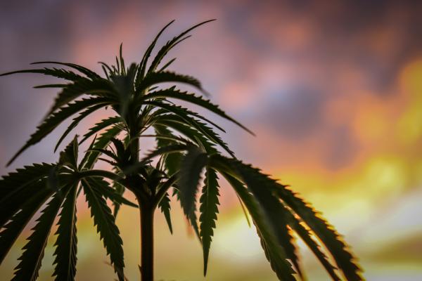 Newsbrief: Calif. treasurer calls state&hellip;