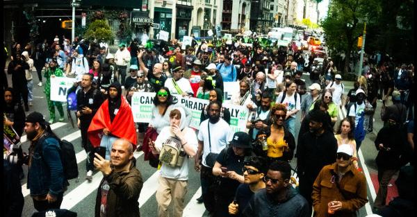 photo of 'Come March With Us': Full Day of Activities Scheduled for 51st Annual NYC Cannabis Parade on May 4 image