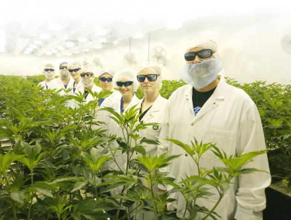 Canopy Growth inks deal to takeover MTL…