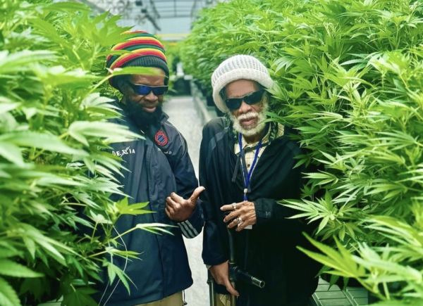 Pura Vida! Costa Rica officially starts medical cannabis rollout after years of delays