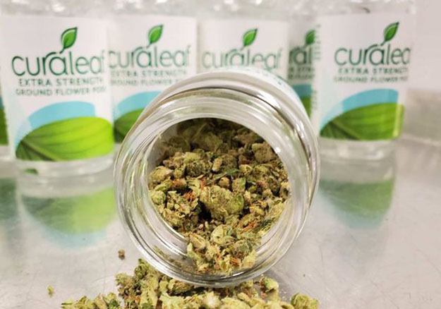 photo of Curaleaf Busted for Selling Ground Flower at New York Dispensaries image