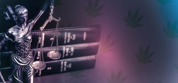 New Jersey Court Rules that Applicants…