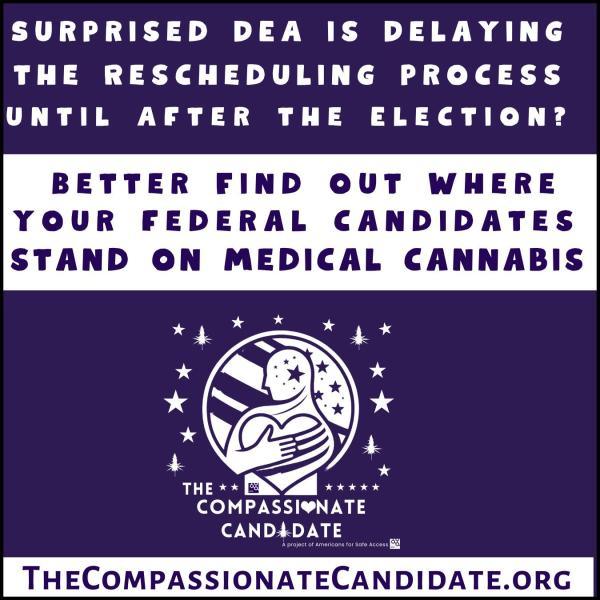 photo of Americans for Safe Access Calls for Compassionate Leadership Amid DEA Hearing Delay on Cannabis Rescheduling image