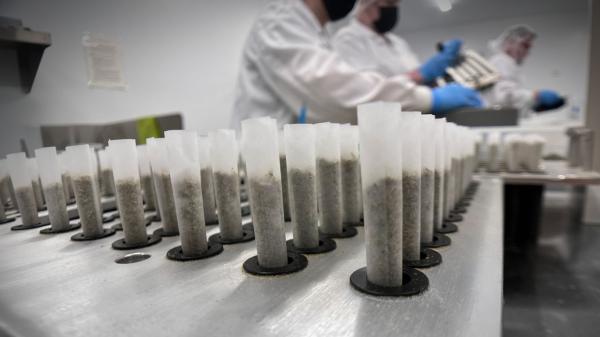 photo of DEALR’s push for cannabis market dominance image