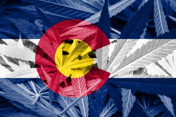 photo of Colorado Could Become a Global Hub for Marijuana Genetics image