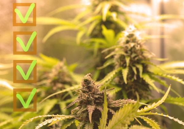 What California Operators Must Do After&hellip;