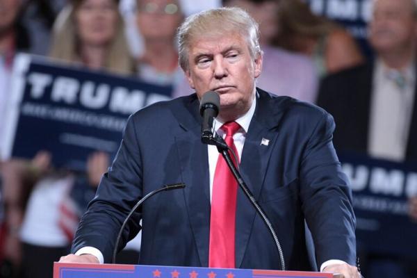 Trump’s Second Term and Cannabis…