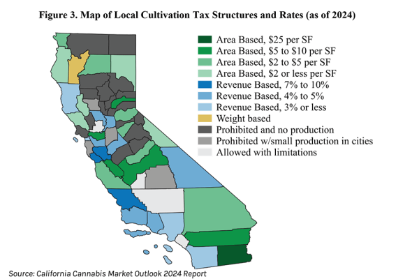 Report: Illicit market dominates…