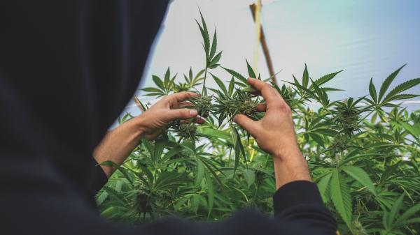 From Spain, The Planet Awaits