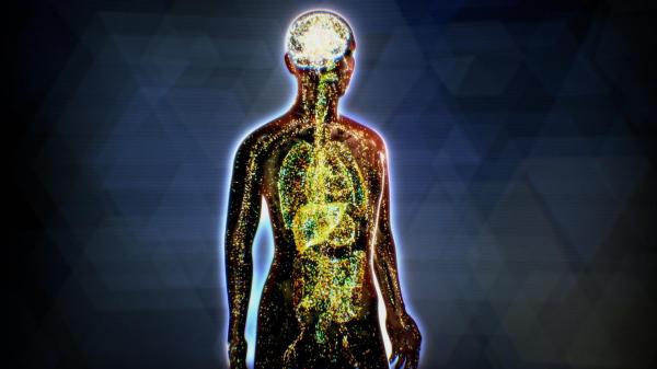 Study Identifies Molecular Mechanism…