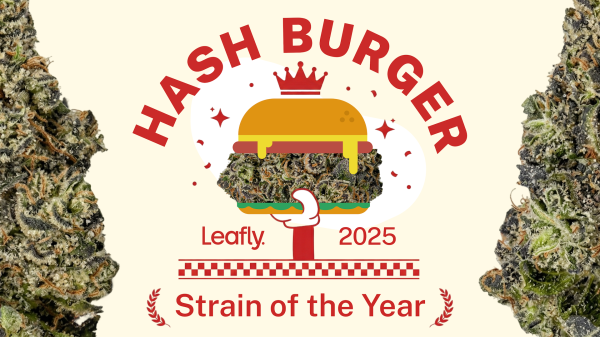 Order up! Hash Burger is Leafly Strain…
