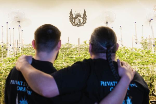 Stoner Owner: Brave Hearts