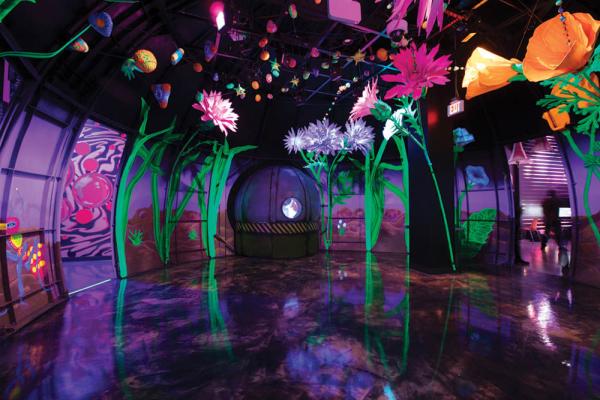 The Adventures of Meow Wolf