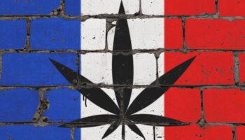 France Has The Highest Cannabis…