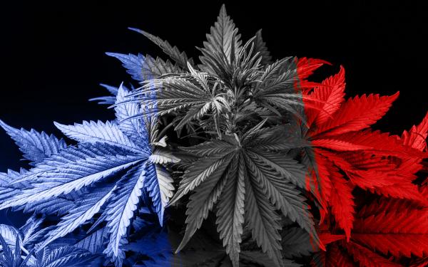 photo of France Forgets Its Golden Age of Medical Marijuana image