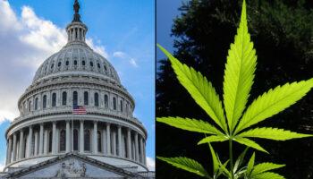 photo of Republican Congressional Committee Approves Bill To Block Marijuana Rescheduling image