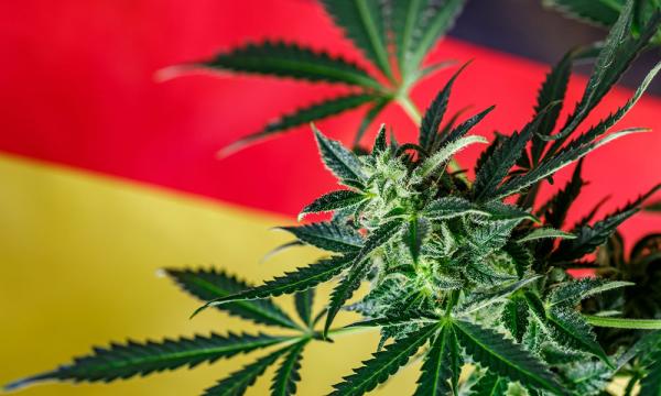 How Will Germany’s Recent Election Impact Cannabis Policy?