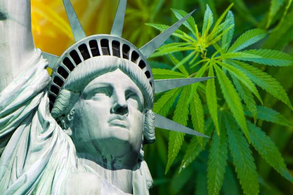 photo of ‘Laughable’: New York pot market sees another major blunder image