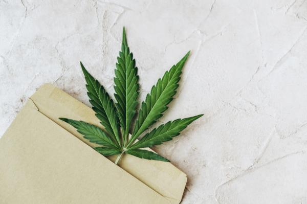 Marijuana in the mail? This state says&hellip;