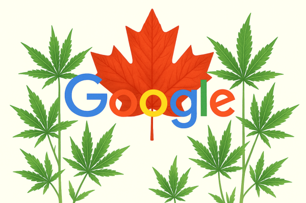 photo of Google starts Canadian cannabis advertising pilot image