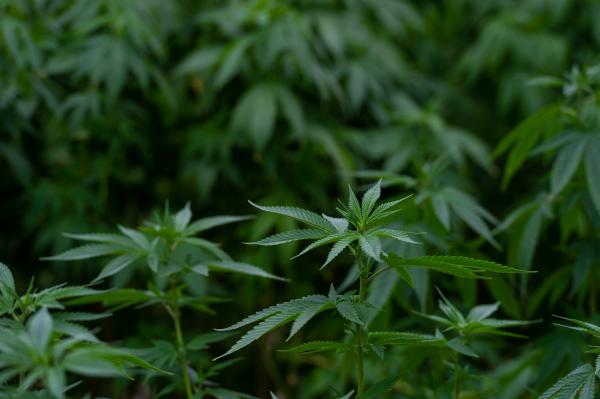 Missouri Regulators Prepare For Final…