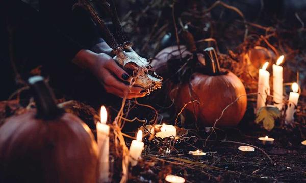 photo of Top 8 Halloween Cannabis Treats image