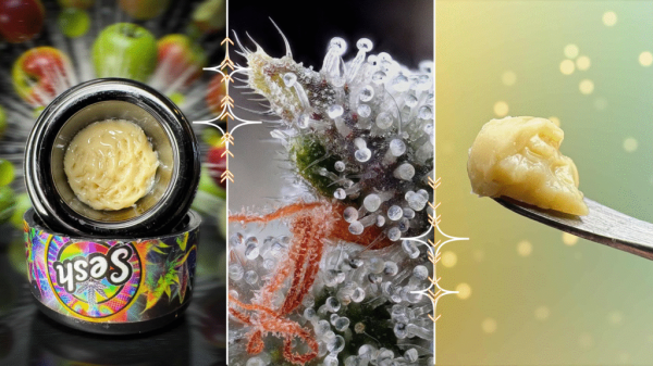 Meet Sesh by Sherlocks Glass—North&hellip;