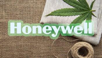 photo of Honeywell Dabbling In Hemp image