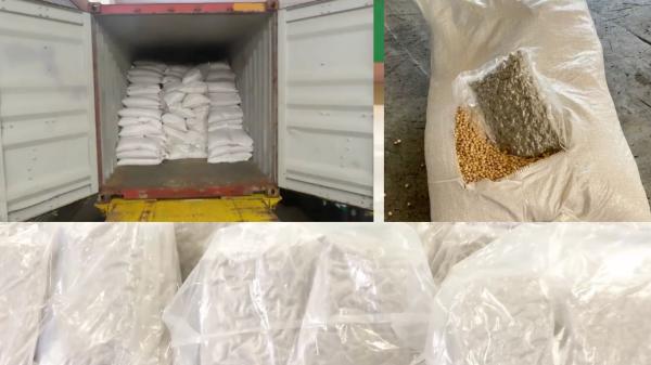 photo of 500 kg of cannabis from Canada seized in Hong Kong image