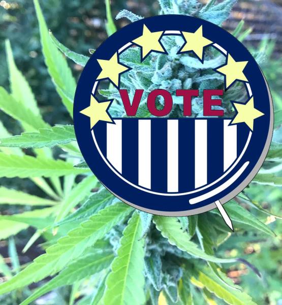 photo of Cannabis on 5 state ballots this November image