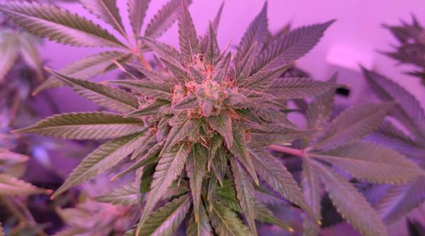 New Hampshire Lawmakers Prefile…