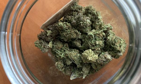 photo of FDA Looks To Collect More Cannabis Data As It Touts Federal-State Partnership In Enforcement Action Against Delta-8 THC… image