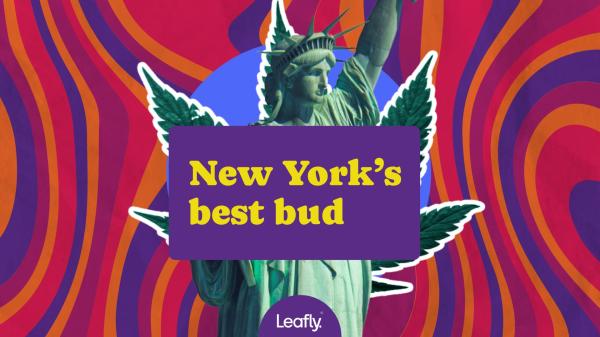 photo of High grade bud is (finally) hitting New York dispensaries image