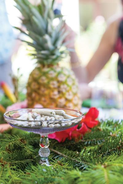 photo of Flower Girls: Appreciating Connoisseur Cultivation image