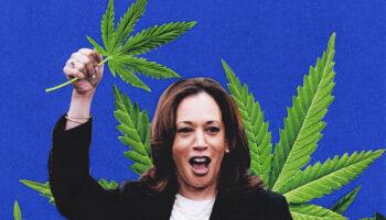 Kamala Harris Promises Full Marijuana…