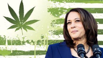 photo of Harris Says She Backs Legalizing Marijuana, Going Further Than Biden image