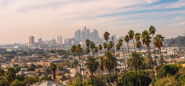 Los Angeles Considering ‘Amnesty’&hellip;