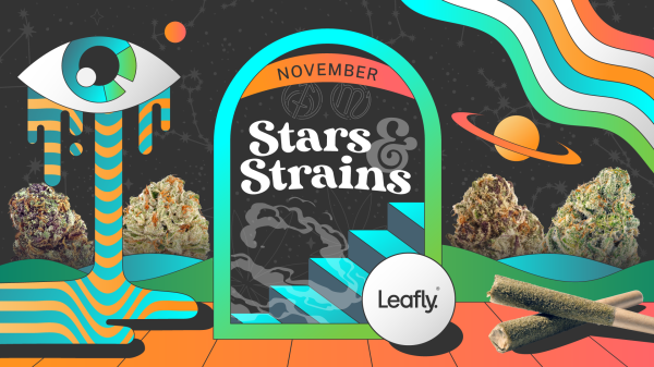 photo of Star signs and cannabis strains: November 2026 horoscopes image