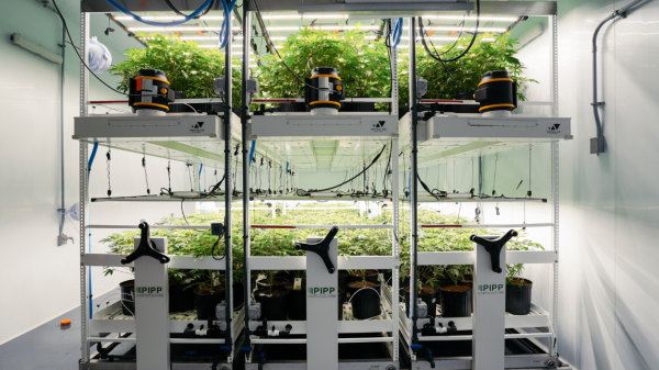 Quebec Cannabis Producer LOT420 Secures&hellip;