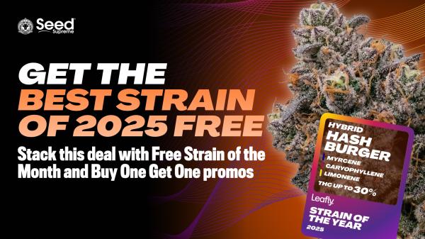 Get a free four-pack of Hash Burger…