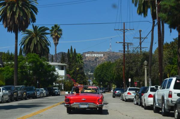 Raman proposes fixes for LA market