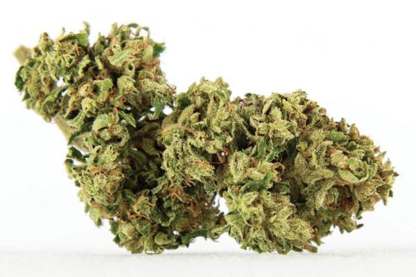 Northeast Leaf 2026 Flower Roundup