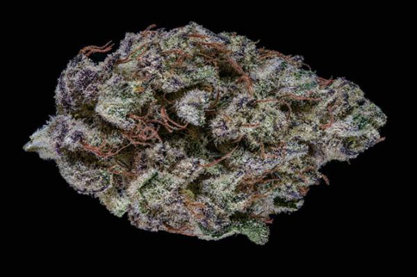 Maryland Leaf 2026 Flower Roundup