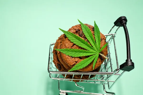 How Marijuana Edibles Work: Dosage,&hellip;