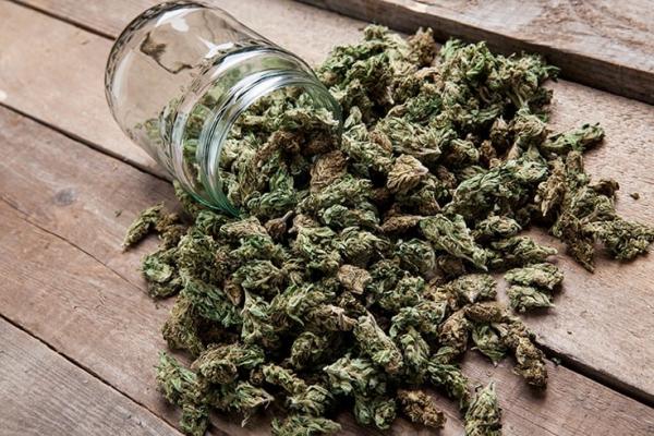 photo of Virginia and Missouri Launch Medical Cannabis Sales, New York Governor Renews Adult-Use Legalization Push: Week in… image