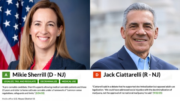 Pro-Cannabis Group NORML Endorses Mikie Sherrill for NJ…