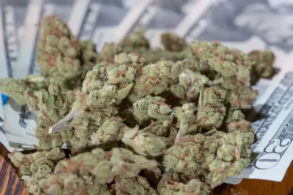 Marijuana Could Generate $111 Billion…