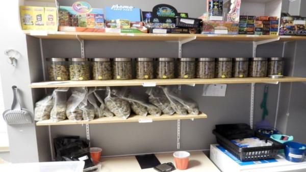 photo of Police in Ontario shut down two illicit cannabis shops in Niagara Falls image